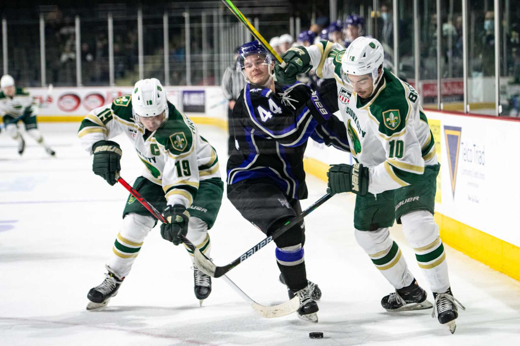 Musketeers vs Tri-City Storm hockey